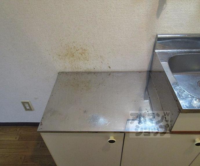 【シャトープラティークⅠ】間取