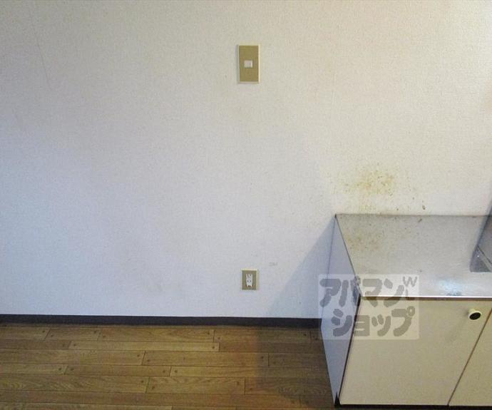 【シャトープラティークⅠ】間取