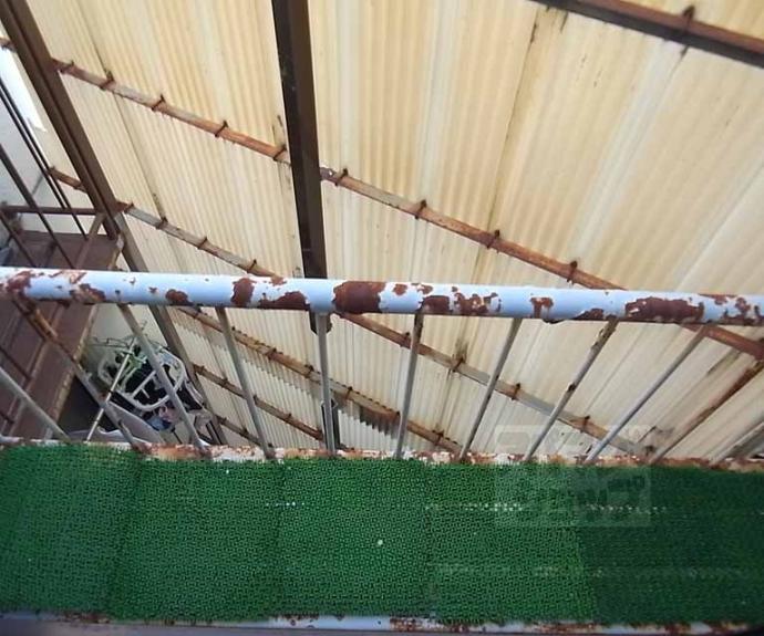 【シャトープラティークⅠ】間取