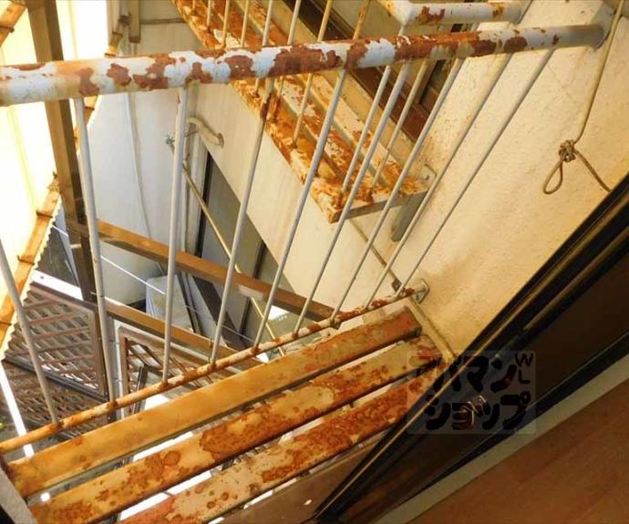 【シャトープラティークⅠ】間取