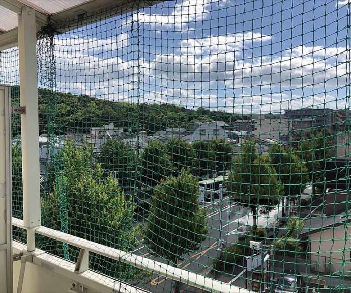 【足立ハイツ北大路】間取