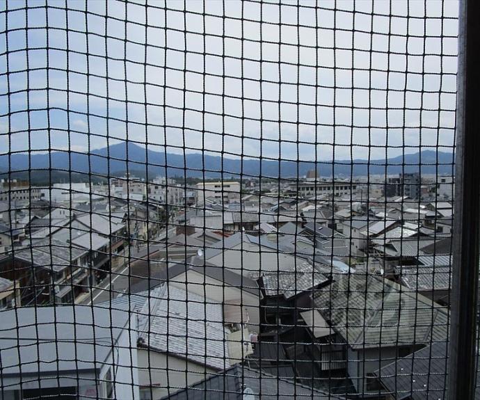 【コットンハウス９５】間取