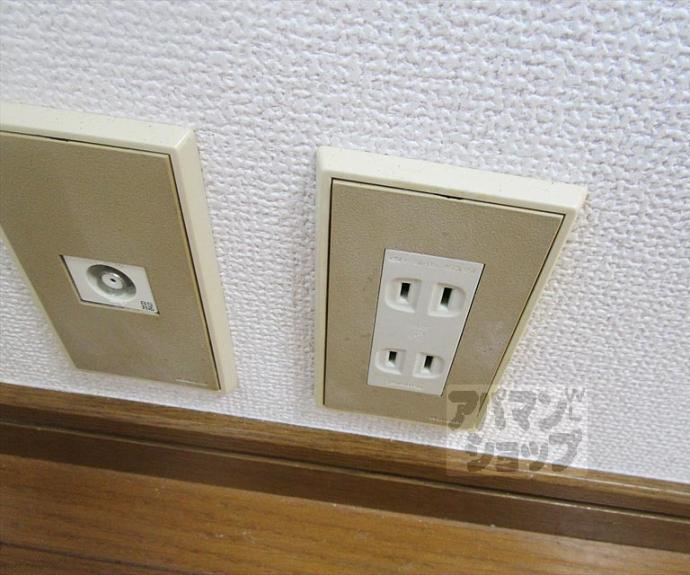 【コットンハウス95】間取