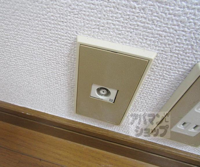 【コットンハウス95】間取