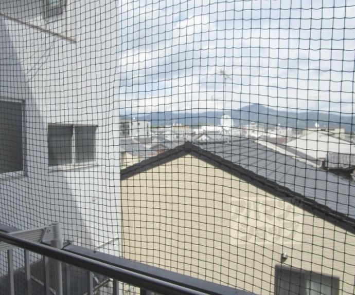 【コットンハウス９５】間取