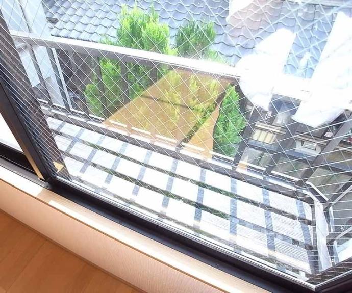 【メゾン陽生Ⅱ】間取