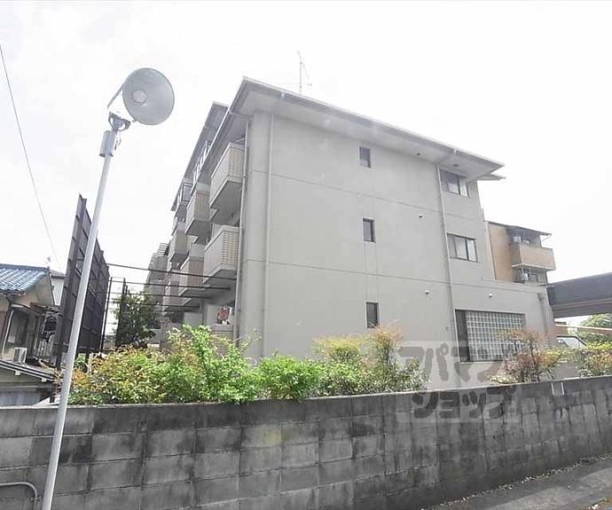 【コーポ酒井】間取