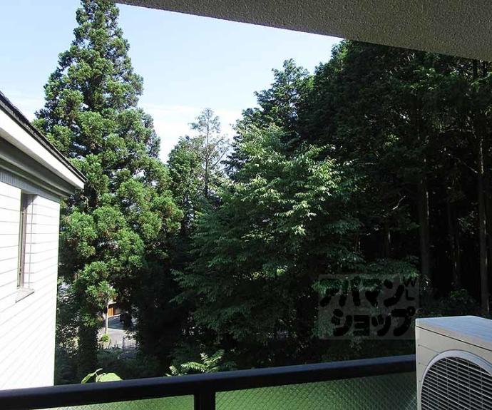 【リアライズ衣笠】間取