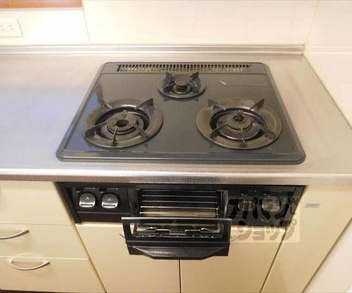 【シュシュパルク鹿苑】間取