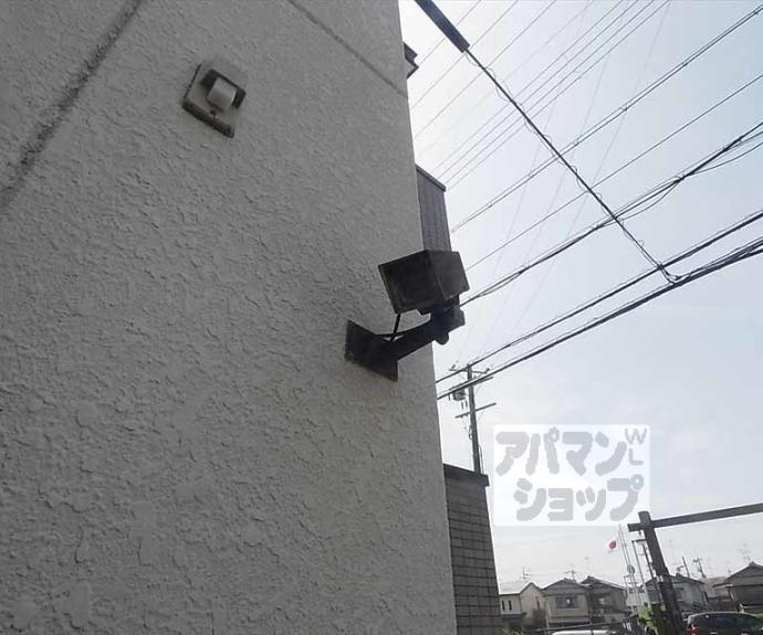 【シーガル(SEAGULL)】間取