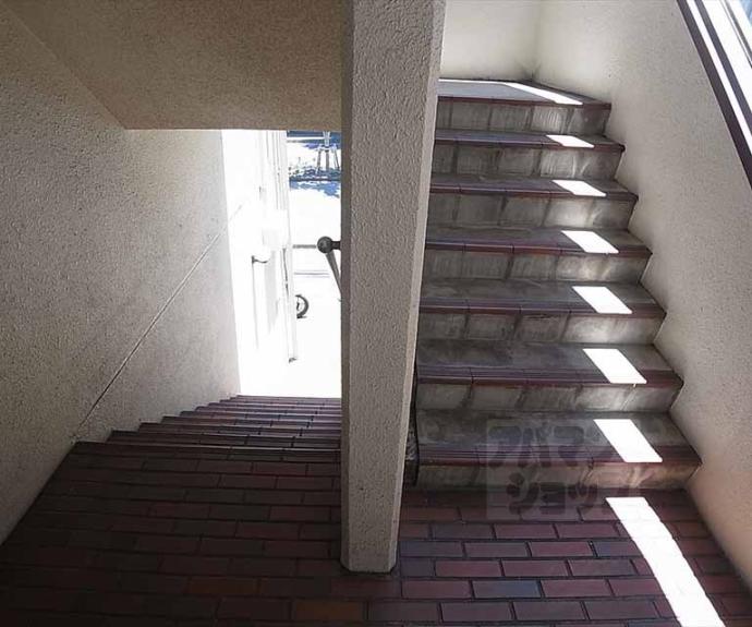 【サンシャイン細井】間取