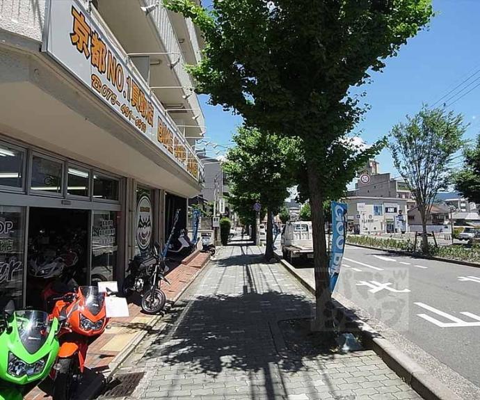 【サンシャイン細井】間取