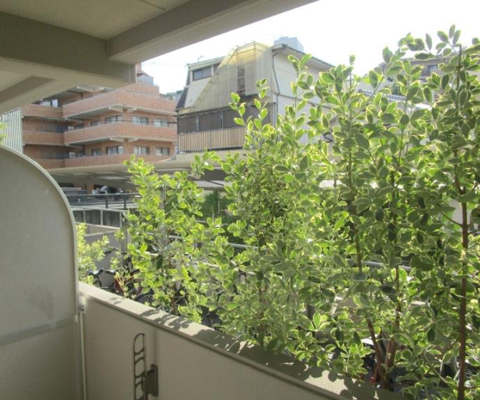 【ランブラス衣笠】間取