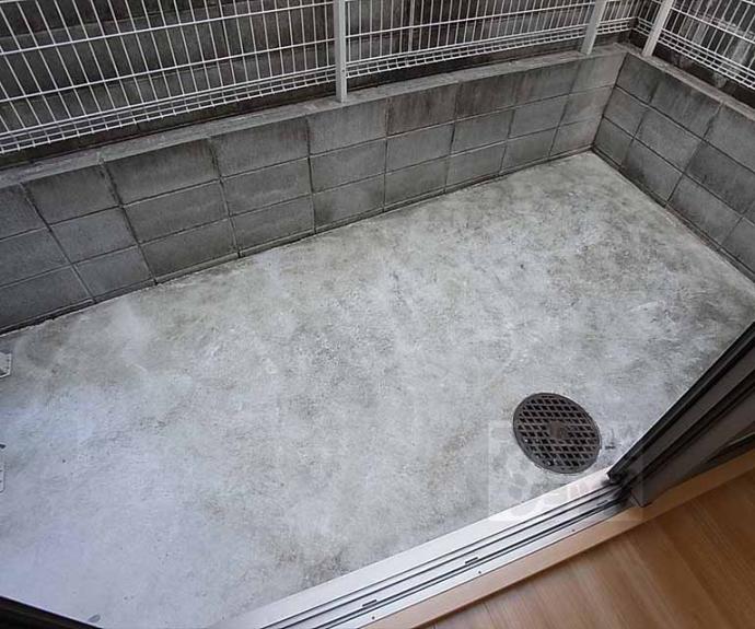 【クオリカ紫竹】間取