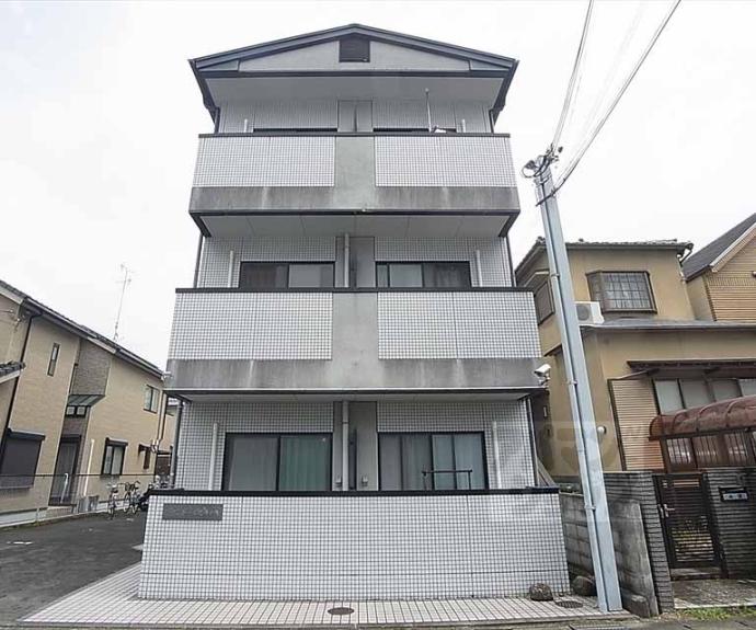 【グランドールカキノキ】