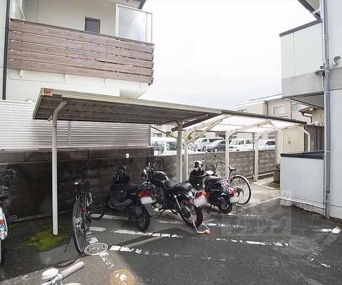 【グランドールカキノキ】