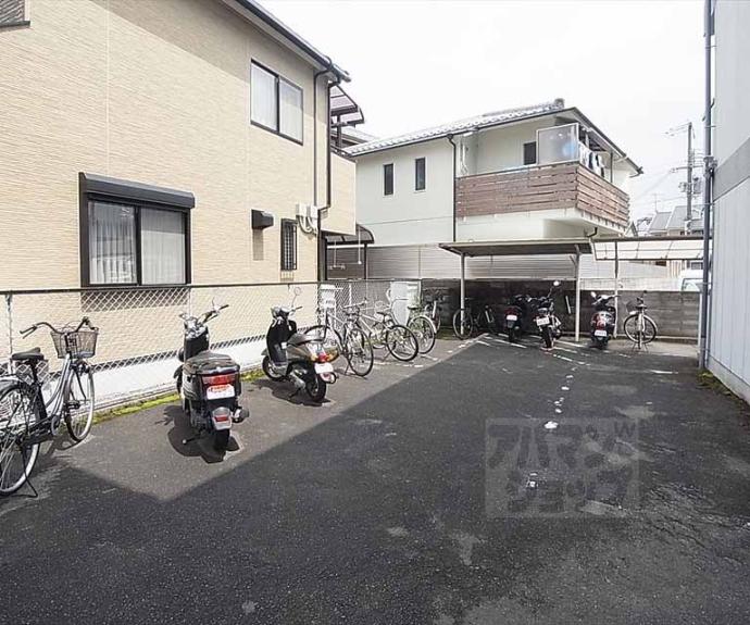 【グランドールカキノキ】