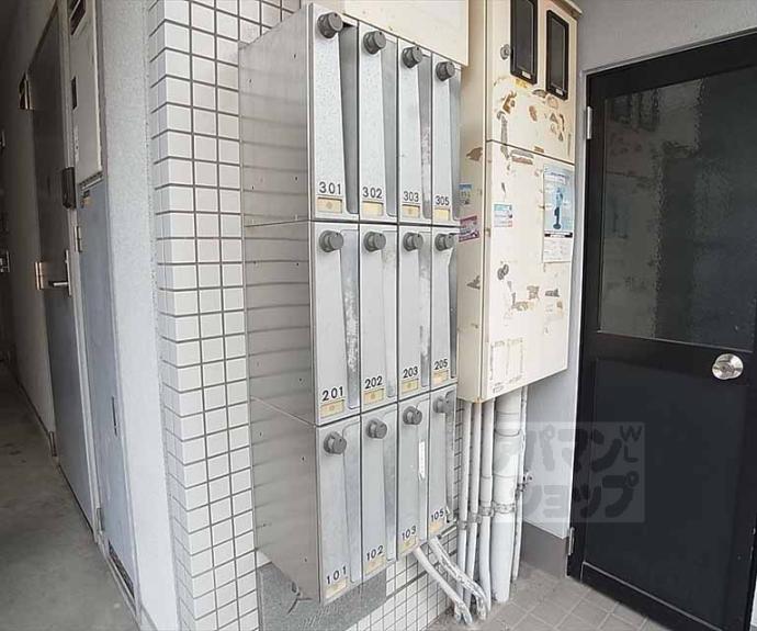 【グランドールカキノキ】