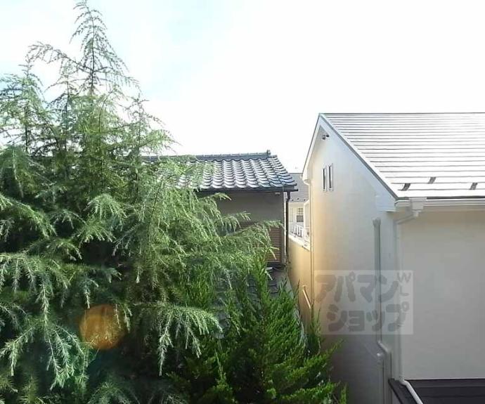 【カーサラコルタ】間取