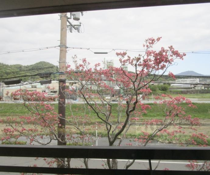 【アッシュ】間取