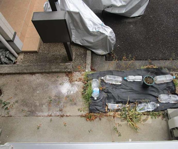 【松野アパート】間取