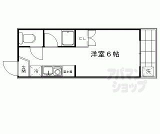 【パープルバンブー】