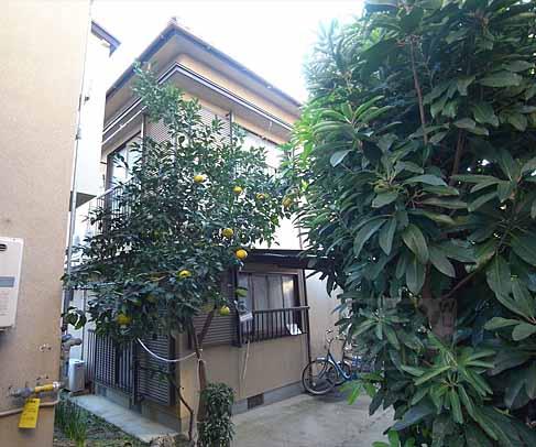 Ｋｏｇａ　Ｗｅｓｔ