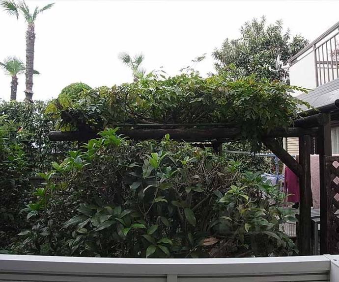 【プチメゾン】間取