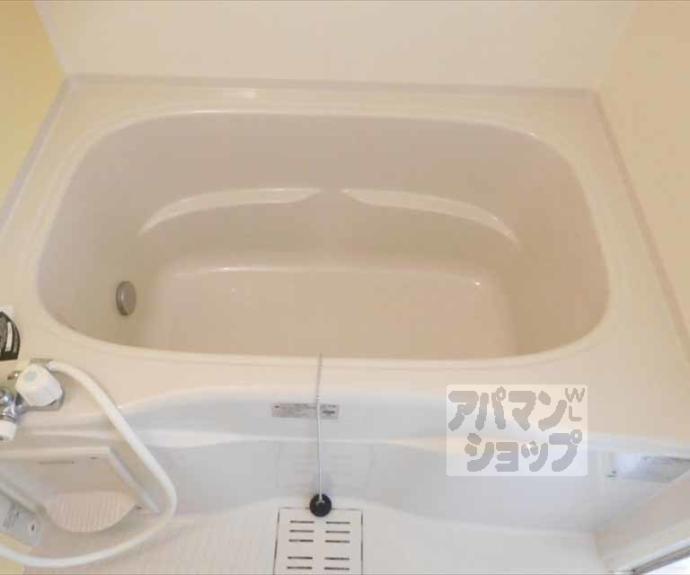 【クリーム　ローズ】間取