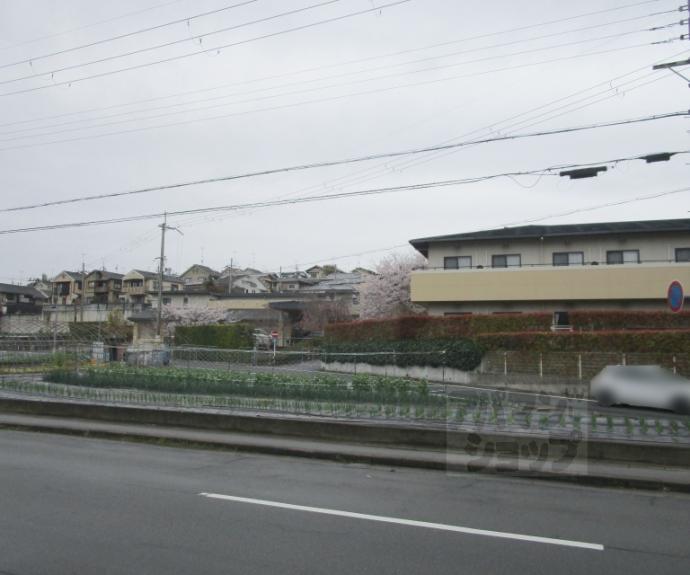 【Ｓｈｉｎｉｎｇ　Ｔｅｒｒａｃｅ　西賀茂】間取