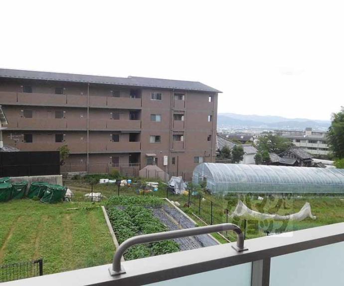 【ShaMaison天峰】間取