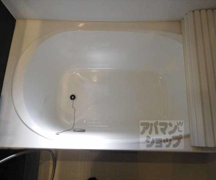 【シャーメゾン紫野】間取