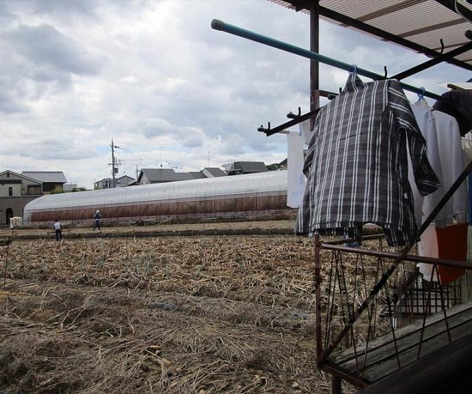 【大宮西野山町16-70貸家】間取