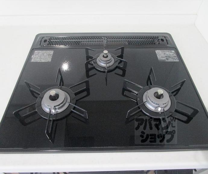 【セレーナ北大路】間取