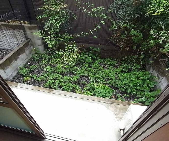 【エトワール紫竹Ⅲ】