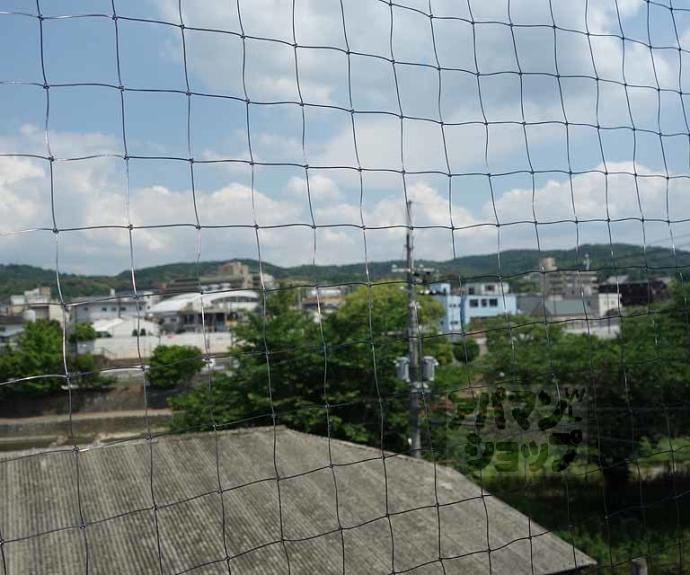 【朝日プラザ鴨川】間取