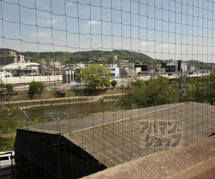 【朝日プラザ鴨川】間取