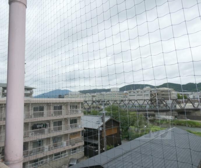 【朝日プラザ鴨川】間取