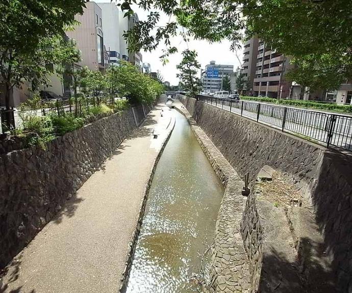 【パレロイヤル西陣佐わらび】間取