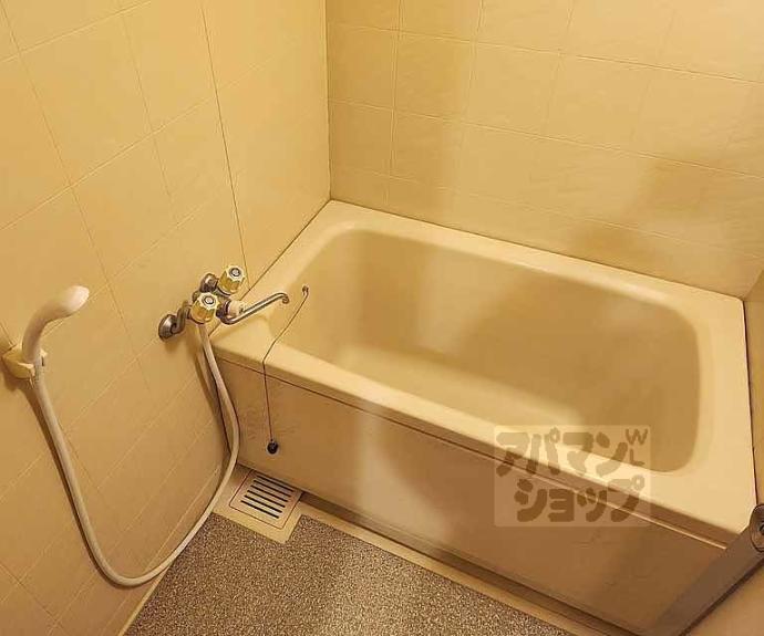 【パレロイヤル西陣佐わらび】間取