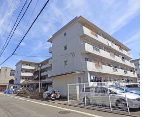 高野ロイヤルハイツ：間取図
