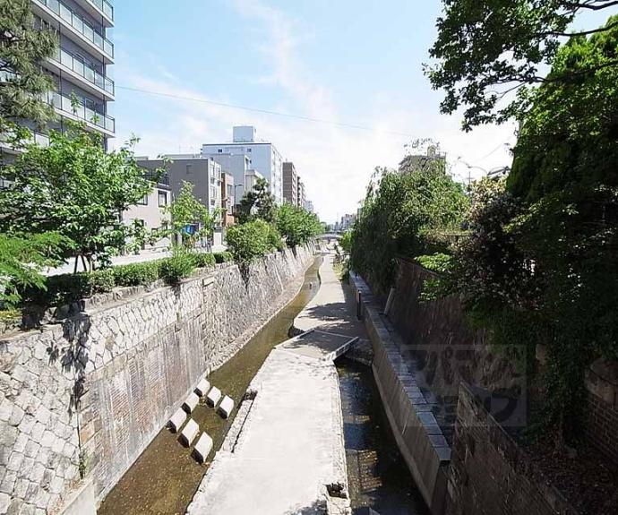 【リエス東堀川】間取