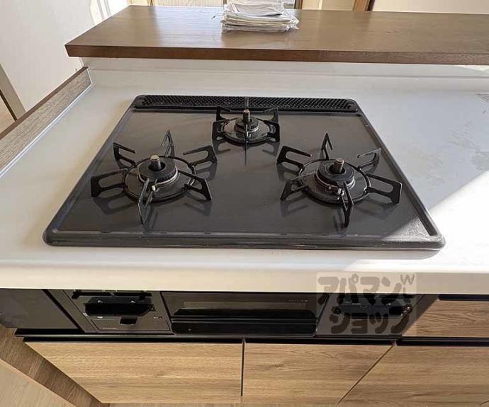 【パインフィールド二条城】間取