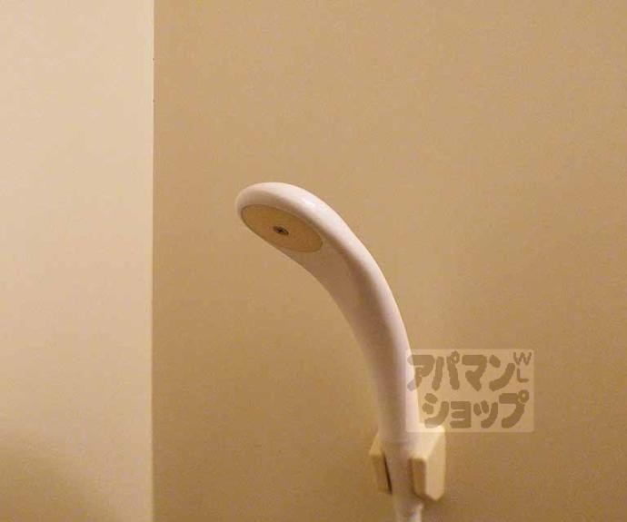 【カサデソーラ白川】間取