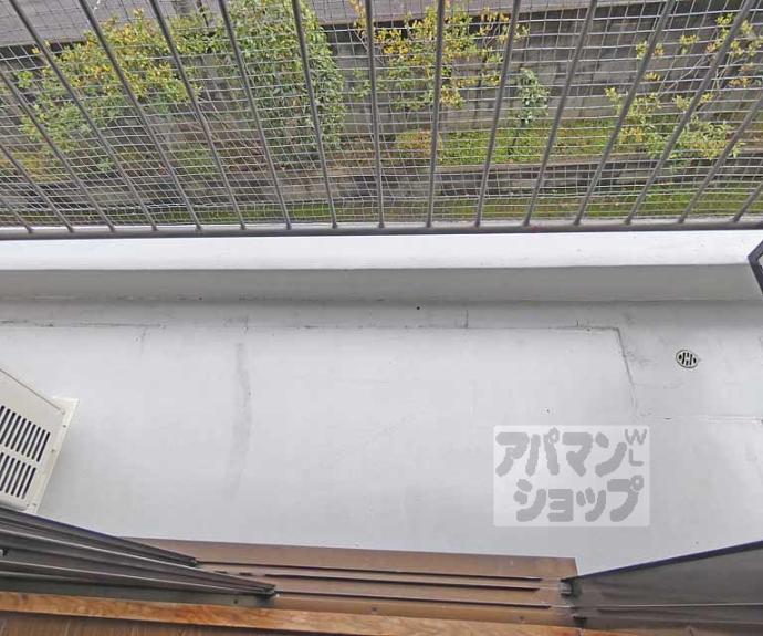 【センチュリーハイツコスモ】間取