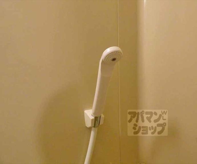 【センチュリーハイツコスモ】間取