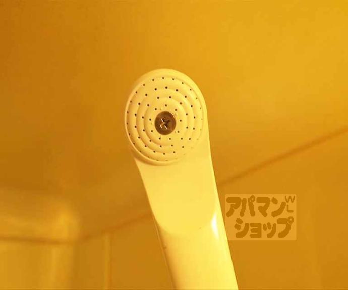 【ロイヤルコーポタカノ】間取