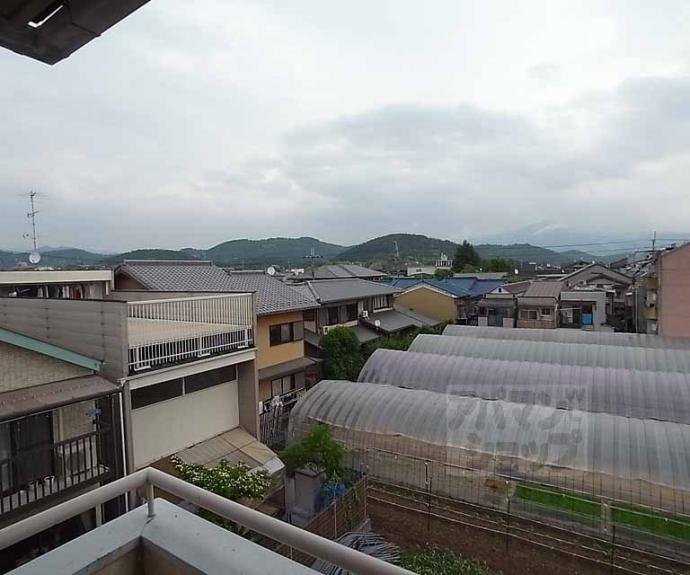 【シャトルさわだ】間取