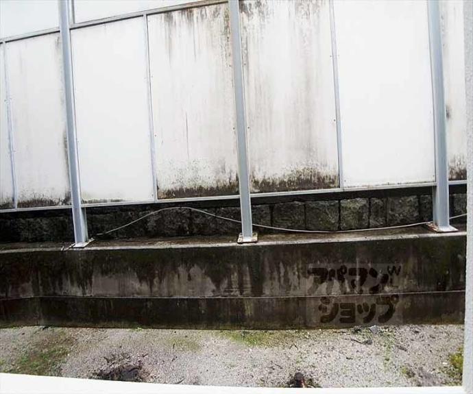 【ロイヤルハイツ白川】間取