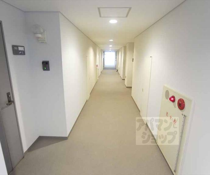 【レヴィア北白川】間取